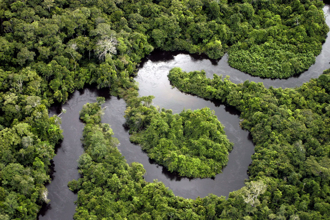 Vista desde arriba del río Amazonas y de muchísimos árboles